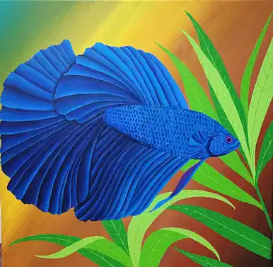 Betta in Blue - jennpai art