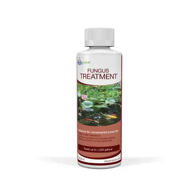 FUNGUS TREATMENT - 8 OZ / 236 ML