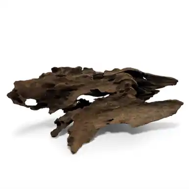 Malaysian Driftwood Medium - sr aquaristik