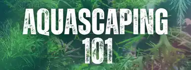 Aquascaping 101: Green Brook Oct 19, 2025 1:00pm - FFP
