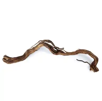 Dragon Wood Small - sr aquaristik