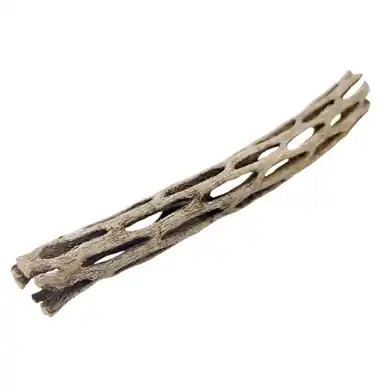 Cholla Wood - jermack