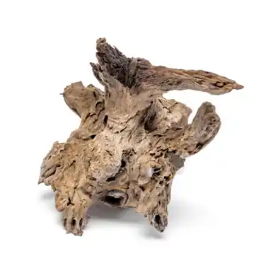 Madra Wood (Medium) - UNS
