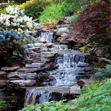 Pond free kit with Spillway - Atlantic | Oase