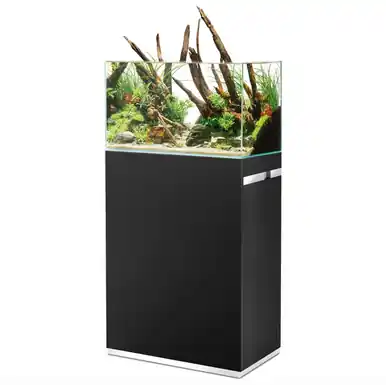 Scaperline 60 Black Set - oase