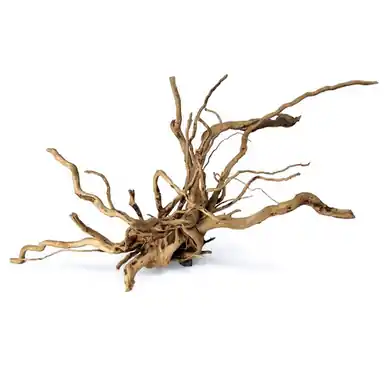 Spider Wood Small - sr aquaristik
