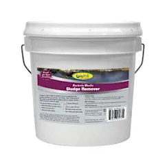Sludge Remover Bacteria - Easy Pro