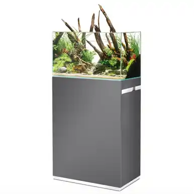 Scaperline 60 Grey Set - oase
