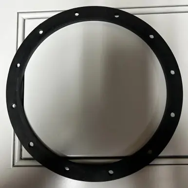 Filter Lid Seal - Evolution Aqua USA