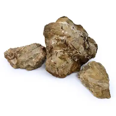 Petrified Wood (per pound) - sr aquaristik