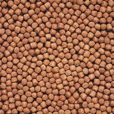 Hikari Wheat Germ 11 LB