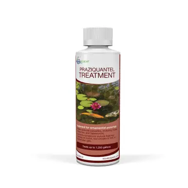 PRAZIQUANTEL TREATMENT - 8 OZ / 236 ML