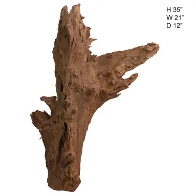 Malaysian Driftwood, Super WYSIWYG 35" x 21" - AquaCave