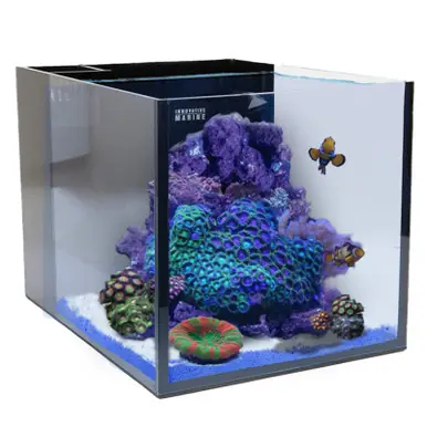 IM Fusion 15 AIO Cube Aquarium - Desktop - Starter Kit