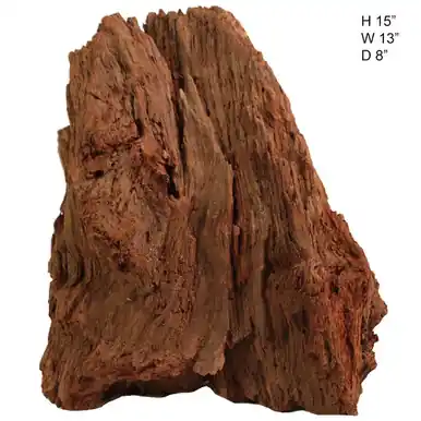 Malaysian Driftwood, Super WYSIWYG 15" x 13" - AquaCave