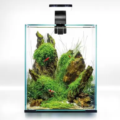 AquaEl Shrimp Set 10L (2.6 Gallons) - Black