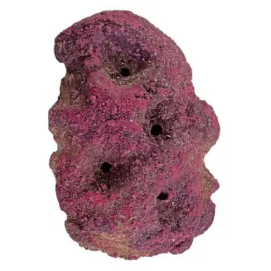 CaribSea LifeRock Frag Garden 5 Hole
