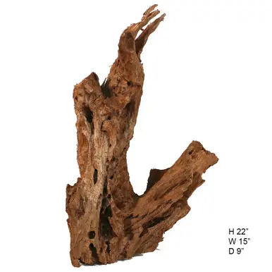 SOLD - Malaysian Driftwood, Super WYSIWYG 22" x 15"