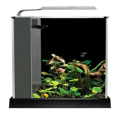 Fluval 2.6 Gallon Spec III Aquarium Kit, Black
