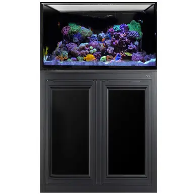 IM INT 75 Gallon Complete Reef System – Black - Innovative Marine