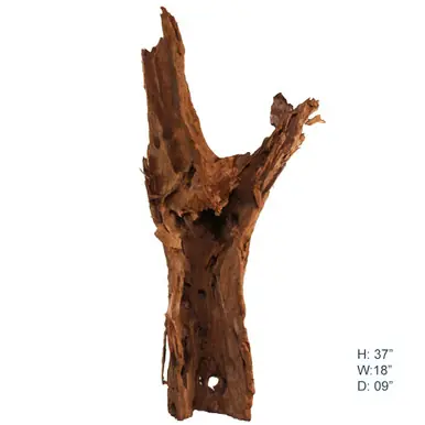 Malaysian Driftwood, Super WYSIWYG 37" x 18" - AquaCave