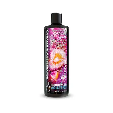 Brightwell Coralline Accelerator 500ml. Nutrients for Coralline Algae growth in Marine & Reef Aquariums - Brightwell Aquatics