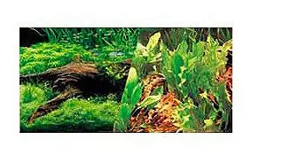 12" High Japanese AquaScape / Freshwater Aquarium Background - Fluval