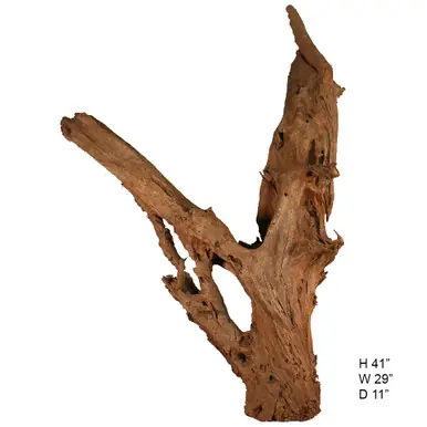 SOLD - Malaysian Driftwood, Super WYSIWYG 41" x 29"
