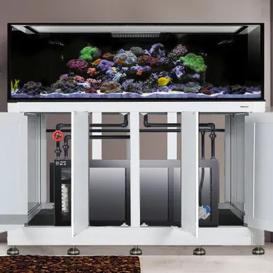 IM EXT 240 Gallon Complete Reef System – White (Made to Order) - Innovative Marine