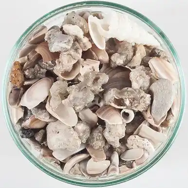 Caribsea African Cichlid Mix - Original 20 lbs.