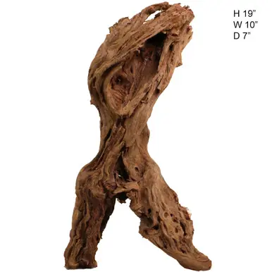 Malaysian Driftwood, Super WYSIWYG 19" x 10" - AquaCave