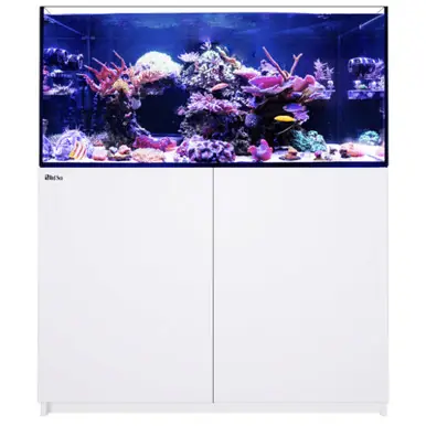 Red Sea REEFER 350 G3, 72 Gal. Aquarium Kit, White