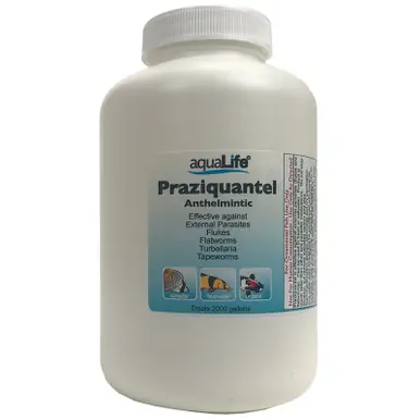 Praziquantel – Treats 2,000 Gallons - AquaLife