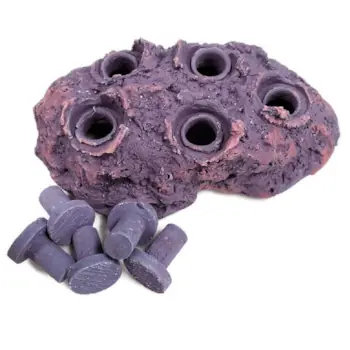 Ocean Wonders Frag Hub 5.0 - Purple