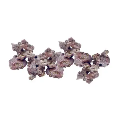 Caribsea LifeRock Fraggerz - 10 Pack
