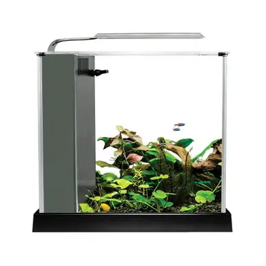 Fluval 2.6 Gallon Spec III Aquarium Kit, White