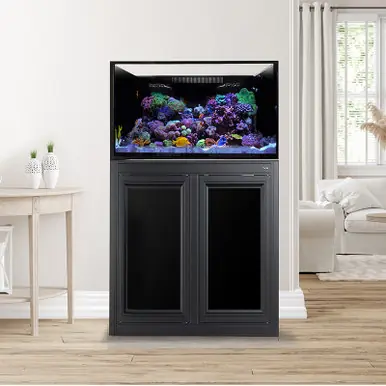 IM EXT 75 Gallon Complete Reef System – Black - Innovative Marine