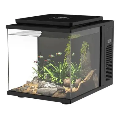 Maxspect Dice Series Pico Cube Aquarium - 2 Gal - Black