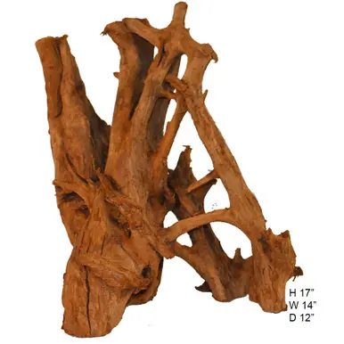 SOLD - Malaysian Driftwood, Super WYSIWYG 17" x 14"