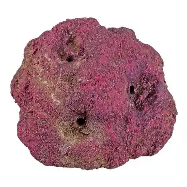 CaribSea LifeRock Frag Garden 3 Hole