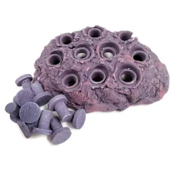 Ocean Wonders Frag Hub 10.0 - Purple