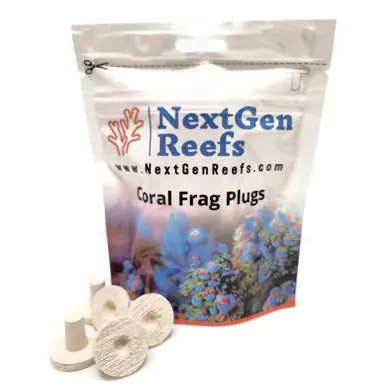 Ocean Wonders NextGen 1" Ceramic Natural White Coral Frag Plugs 25 pc