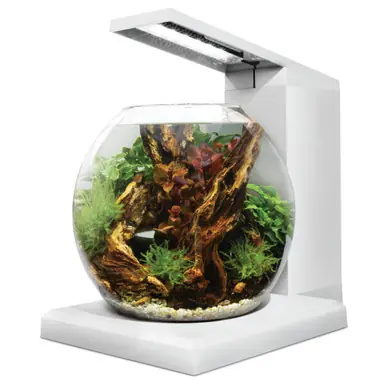 Fluval Liv Aquarium Kit, 1.6 US Gal / 6 L, White