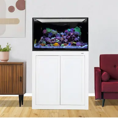 IM INT 112 Lagoon Aquarium w/ APS Stand - White (Made to Order)