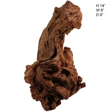 Malaysian Driftwood, Super WYSIWYG 14" x 8" - AquaCave