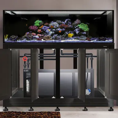 IM EXT 240 Gallon Complete Reef System – Black (Made to Order) - Innovative Marine