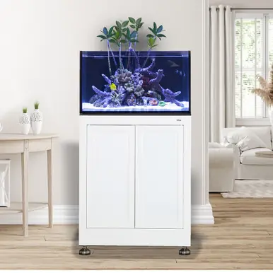 IM EXT 50 Lagoon Aquarium w/ APS Stand - White
