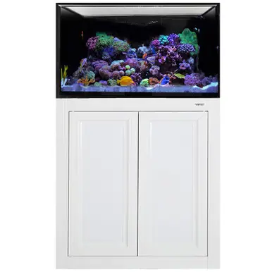 IM INT 75 Gallon Complete Reef System – White - Innovative Marine