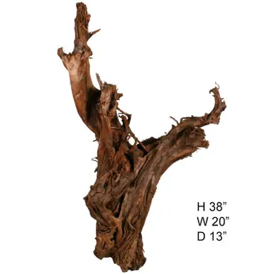 SOLD - Malaysian Driftwood, Super WYSIWYG 38" x 20"