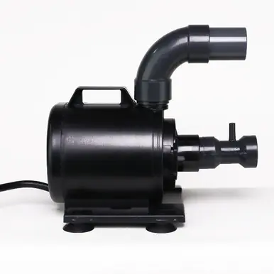 Sedra KSP 5000 Needle Wheel Water Pump